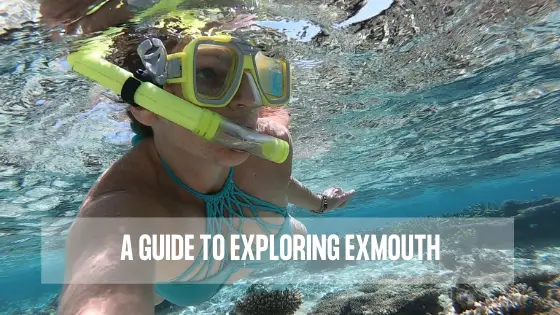 A Guide To Exploring Exmouth