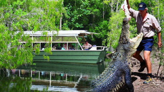 hartleys crocodile adventures