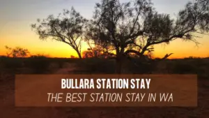 bullara station stay